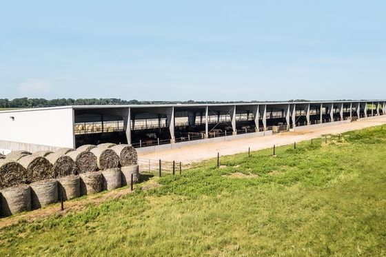Q235/Q345B Metalen boerderijgebouwen met woonruimte