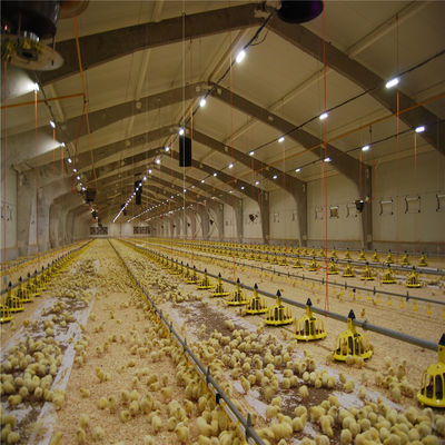 Q235/Q345 Gebouw van pluimveebedrijven van koolstofarme staal Voor koeien geiten paarden arena runderen schapen