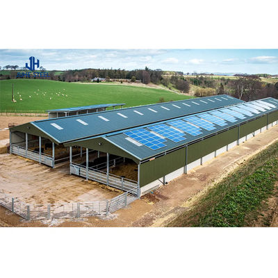 Op maat gemaakte lasservice Prefab stalen structuur Stalen veehuis