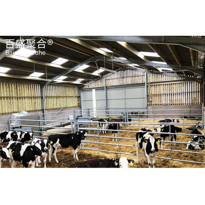 Metalen paardenkorven met een laag koolstofgehalte Q235/Q345