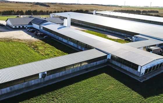 Vaste H-vormige stalen balk voorgefabriceerde metalen magazijn hangar voor tuin schuur/gereedschapshut